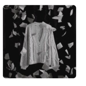 taylor swift cardigan